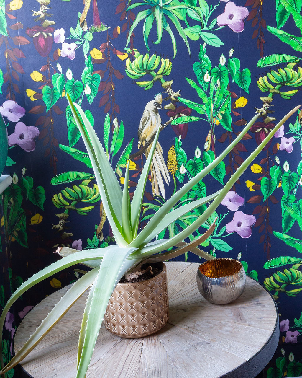 Potted plant on a round table with colorful Kitito floral wallpaper in the background