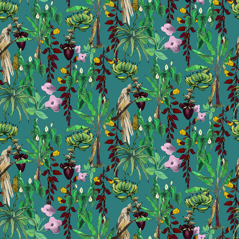 Kitito Wallpaper